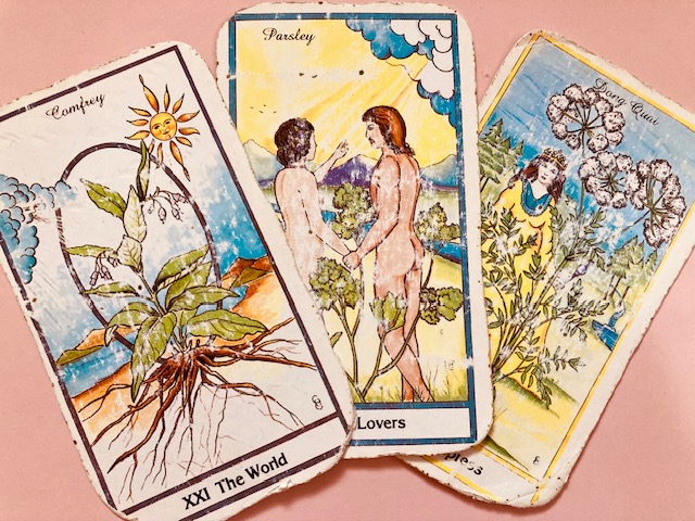 占い師みいのお気に入り写真1